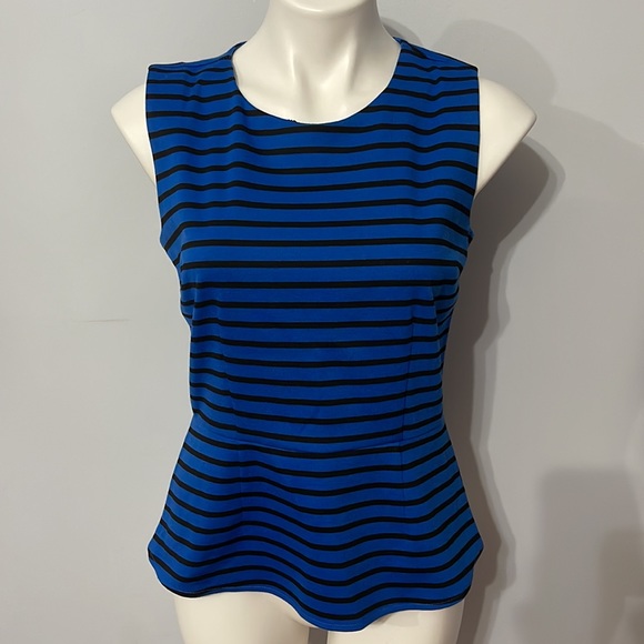 Apt 9 Blue Striped Peplum Blouse - Picture 1 of 6